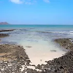 فيلة Dayely كوراليهو
